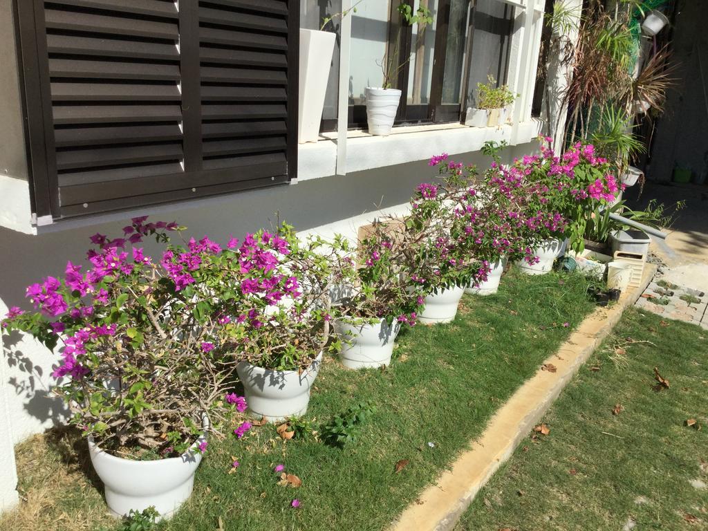 Minshuku Zabaru Hostel Ishigaki  Εξωτερικό φωτογραφία