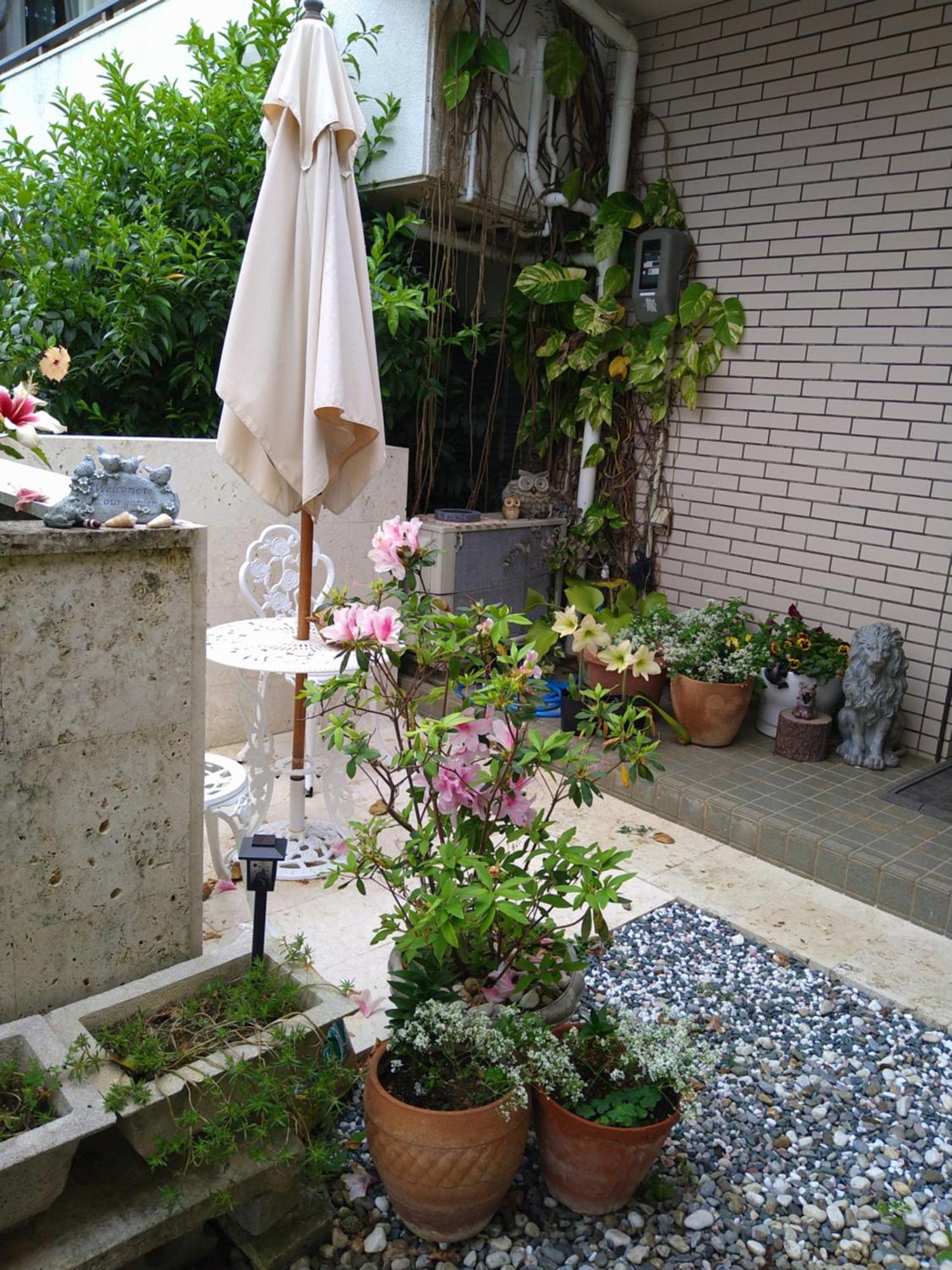 Minshuku Zabaru Hostel Ishigaki  Εξωτερικό φωτογραφία