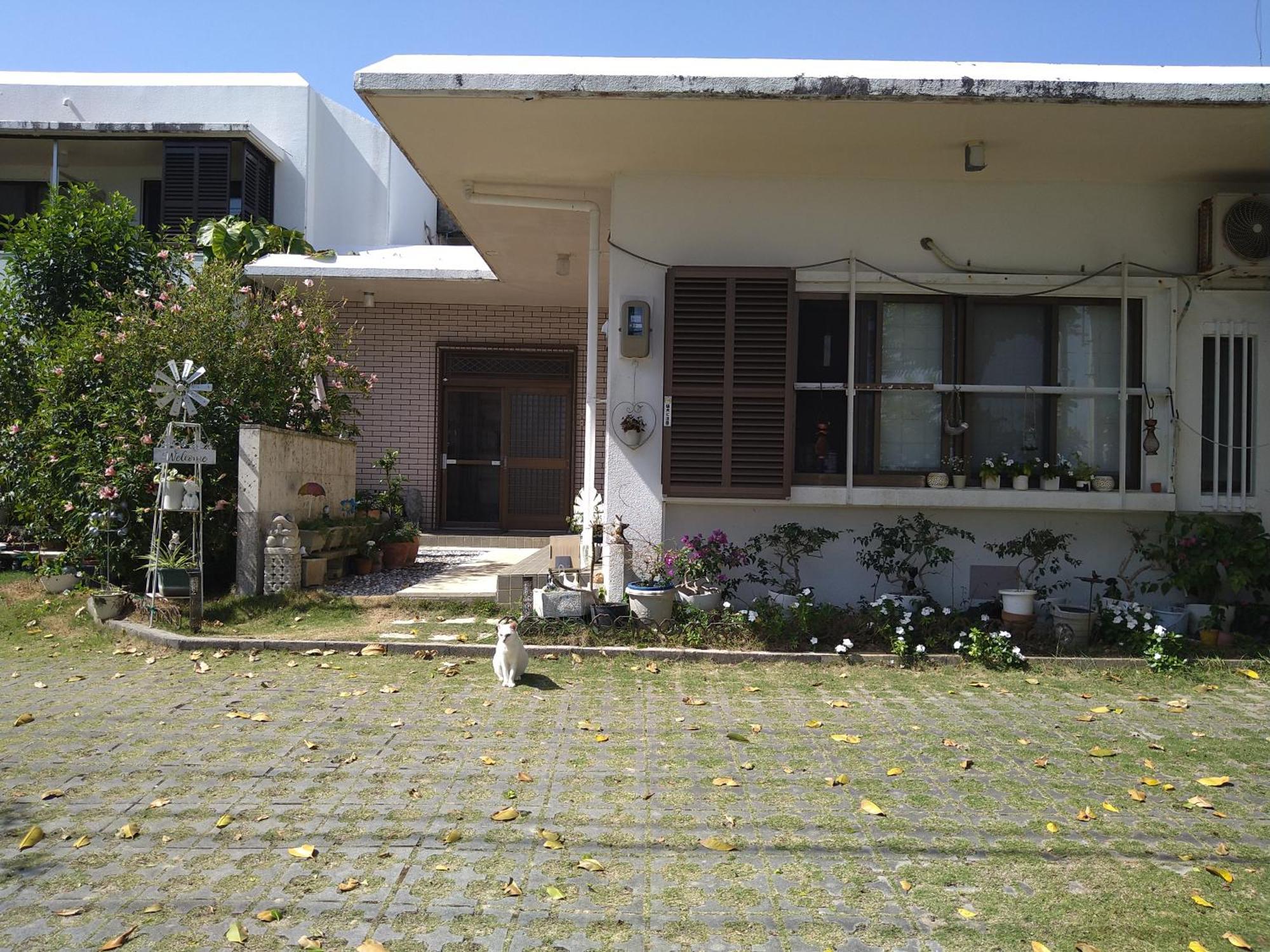Minshuku Zabaru Hostel Ishigaki  Εξωτερικό φωτογραφία